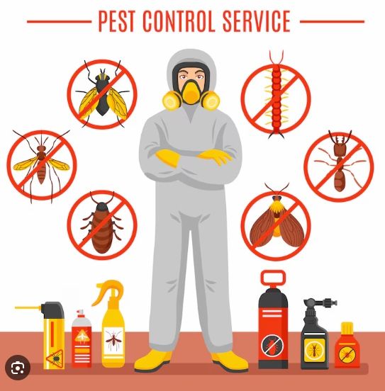 The Complete Guide to Pest Control in Guwahati